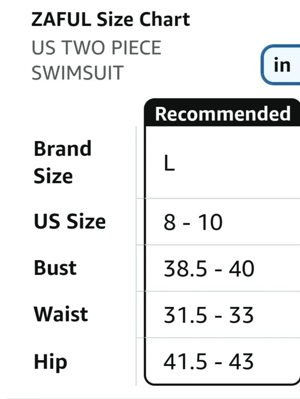 Blue Stripe Ruffle V-Neck High-Waist Women's Bikini. Size Large. NWT.
